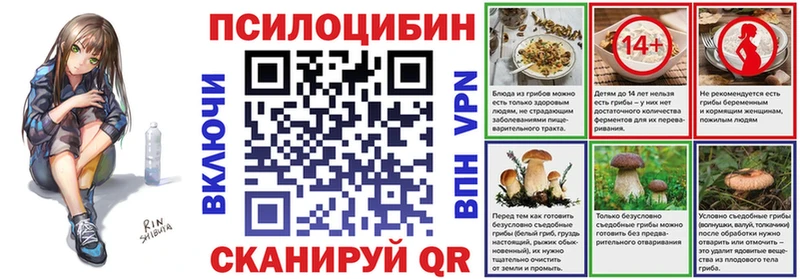 hydra ТОР  Бирюч  Галлюциногенные грибы Psilocybe 